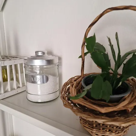 La Fenice Grazioso In Centro Con Cortile Privato