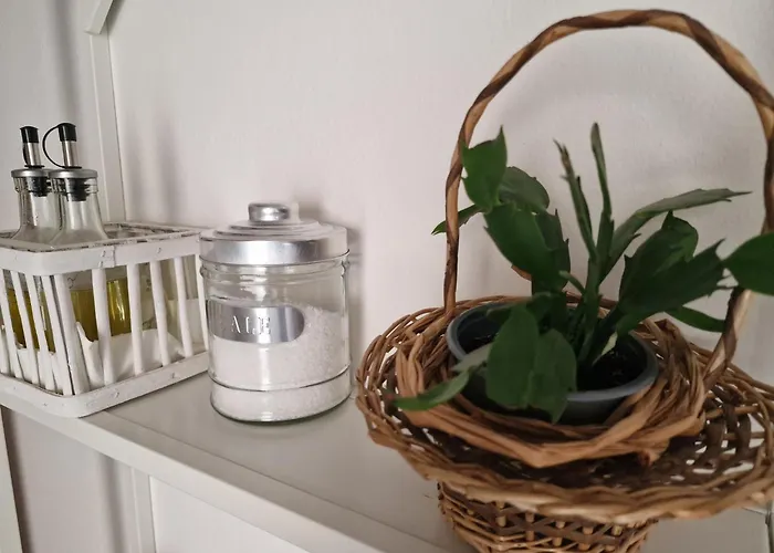 La Fenice Grazioso In Centro Con Cortile Privato